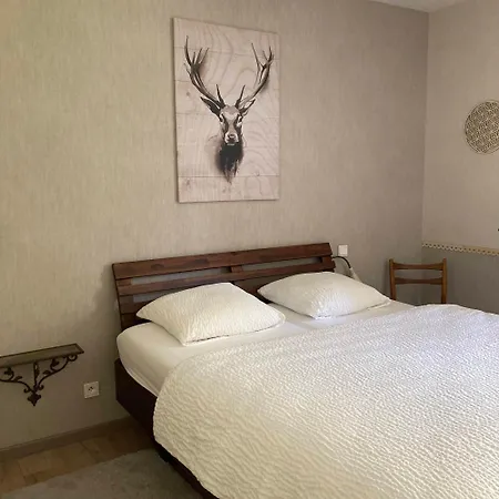 Foret Bed & Breakfast Thannenkirch