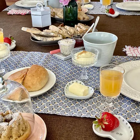 Foret 3* Thannenkirch